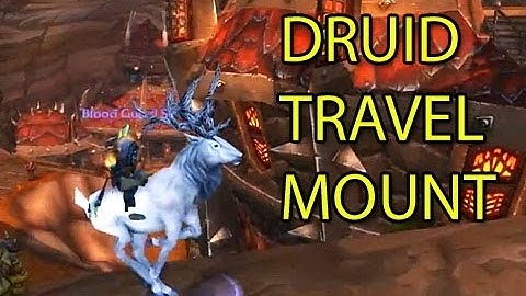 Pandaria Beta: Druid Travel Mount!!! | WoWcrendor