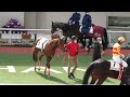 オフモードの久信(森秀行調教師)武豊騎手がいないから一切笑顔が無くて草