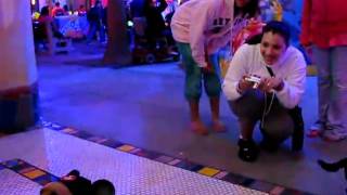 Animal Actor At Disneyland Park California Adventure Glow Fest