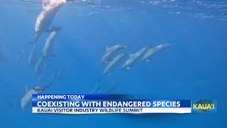 Kauai Wildlife Summit promotes coexistence with endangered species by Island News 3 views 1 hour ago 34 seconds
