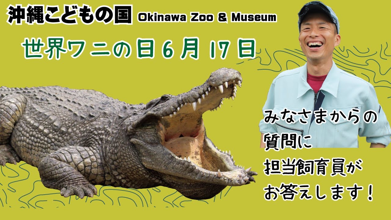 世界ワニの日】みなさまからの質問にワニ担当飼育員がお答えします