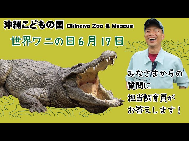 World Crocodile Day] Our crocodile keeper will answer your