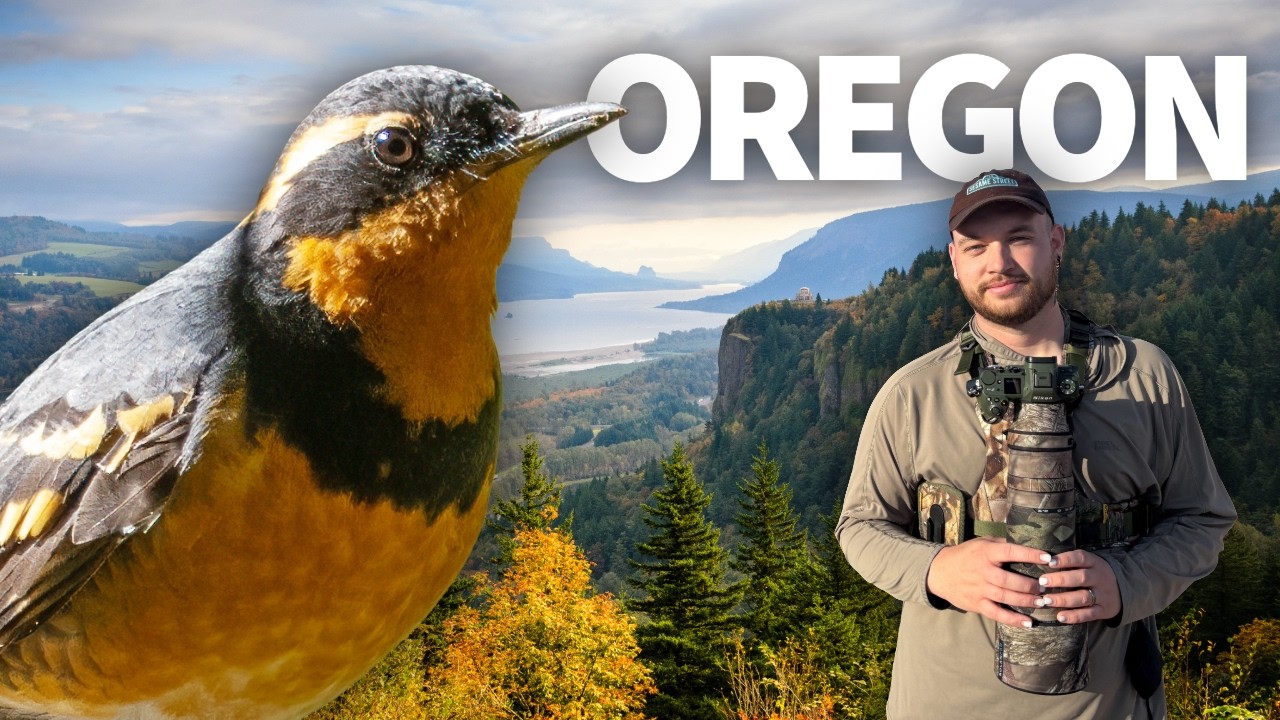 I Return to Oregon for LEGENDARY Birding