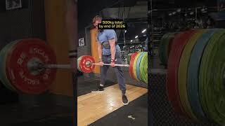 Rebuild status: 457.5kg total. 160kg 3x3 on the way to 500… deadlift used to be my best lift.