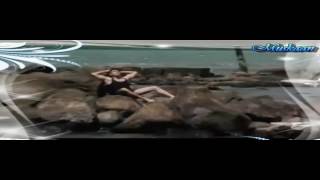 Tere Chehre Se Nazar  Hatti Nahi  Kya  Hum Karein    Kumar Sanu 360p