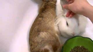 Bonding Time With Mugi And Theo