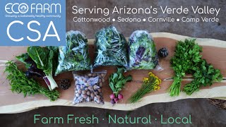 ECO Farm's 2020 Summer CSA Enrollment is Now Open! Enroll today and stay healthy!