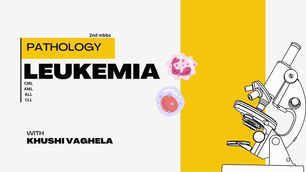 leukemia [2] [CML] pathology 2nd mbbs - YouTube