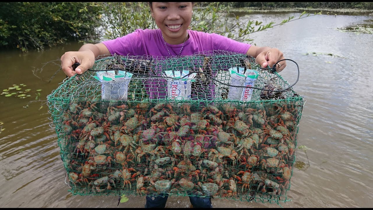 Smart Girl Make Crab Trap Using Wire Netting Cage To Catch A Lot Of Crab 