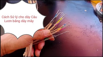 Cách sử dụng, bảo quản Câu lươn bằng dây mây và sử lý khi có khuyến điểm