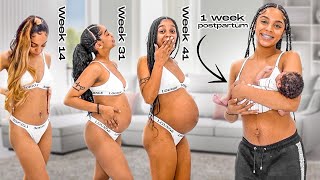 Pregnancy Transformation (Week by Week)