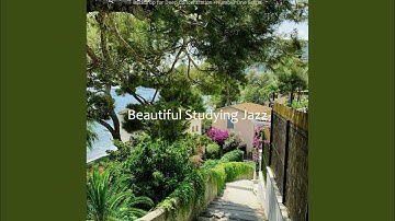 Number One Backdrops for Midterm Exams