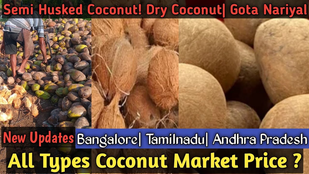 Dry Coconut| Semi Husked Coconut| Gota Nariyal | Puja Nariyal Wholesale Price| Vicky Agro
