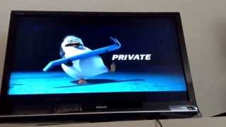 ペンギンズオープニング Youtube