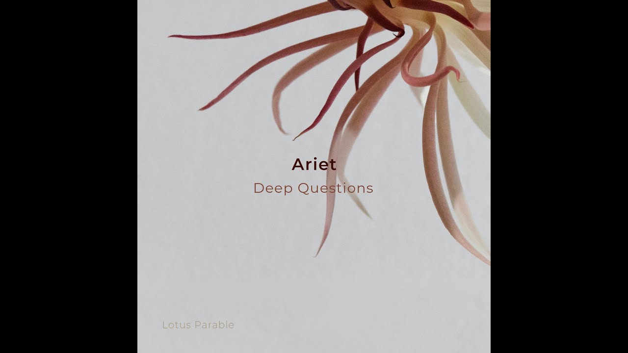 Indefinite Pitch PREMIERES. Ariet - Asasha [Lotus Parable]