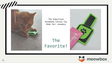 meowbox Unboxing May 2022