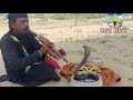 Snake charmer   black cobra  cobra  cobra attack  murli   jogi