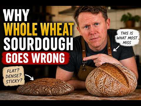 Why Whole Wheat Sourdough Goes Wrong