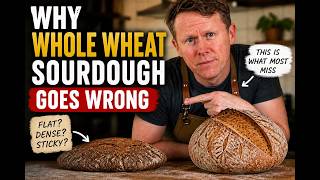 Why Whole Wheat Sourdough Goes Wrong Why Whole Wheat Sourdough Goes Wrong