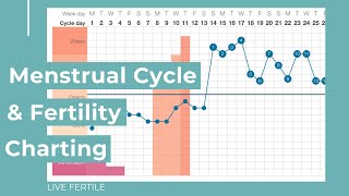 How I Track My Cycle Using Fertility Awareness + OPKs * Giveaway Now Closed*