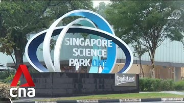 Businesses step up mosquito control as dengue cases climb at Science Park Drive