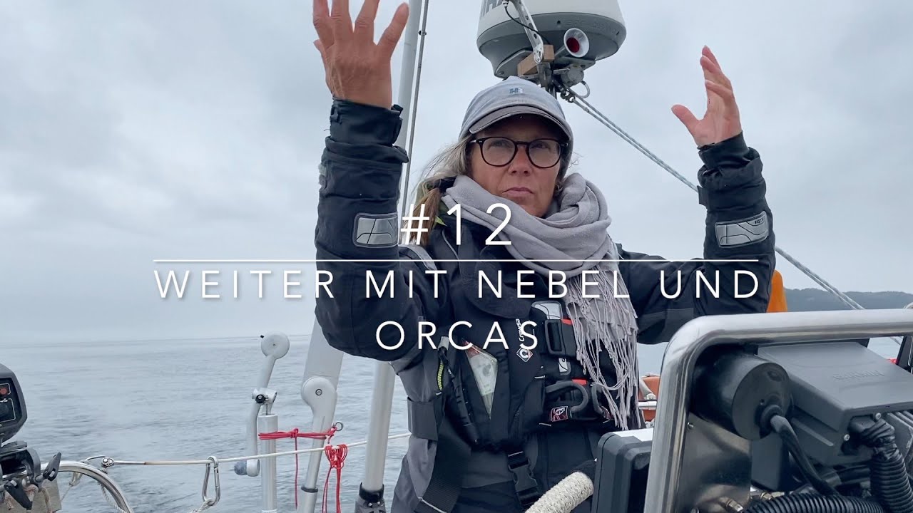 12 - Weiter mit Nebel und Orcas | HAFENKINO.blog
