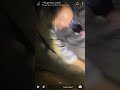 مغامرات سباع الليل شوف وش صار مع أبوهم