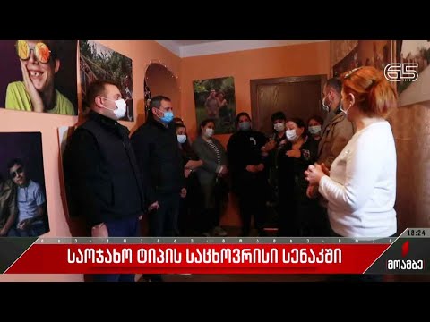 საოჯახო ტიპის საცხოვრისი სენაკში