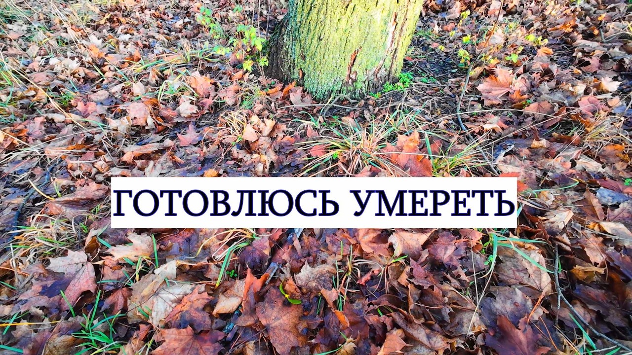 Друзья я Готовлюсь УМЕРЕТЬ