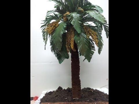 Vídeo: Com Fer Una Palmera Amb Paper