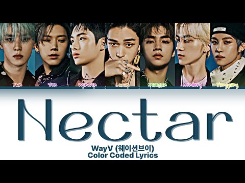WayV (威神V) - ‘Nectar’【日本語訳/ピンイン】