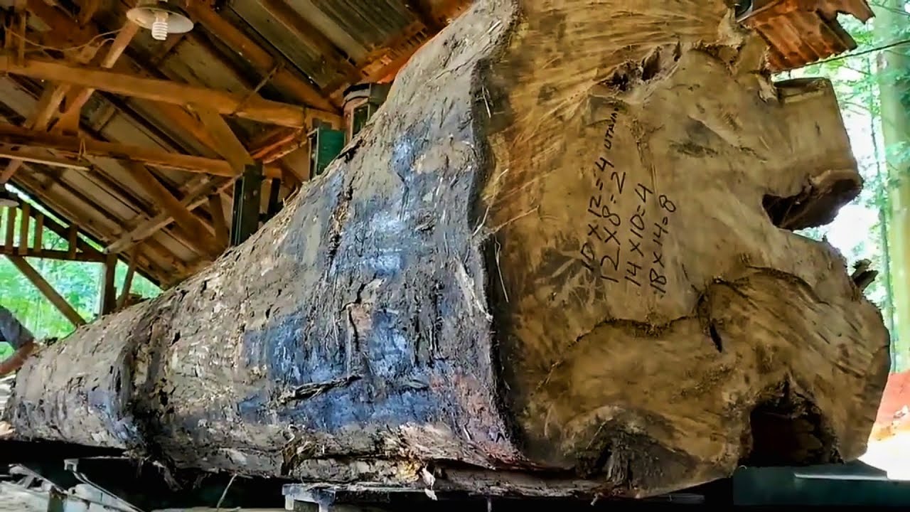 The process of splitting large teak wood into beautiful blocks - YouTube