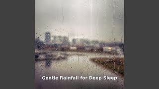 Gentle Rainfall Through the Night, Pt.13