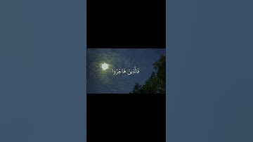 سورة آل عمران ايه ١٩٥ القارئ محمد صديق المنشاوي  #quran #قرآن #المنشاوي