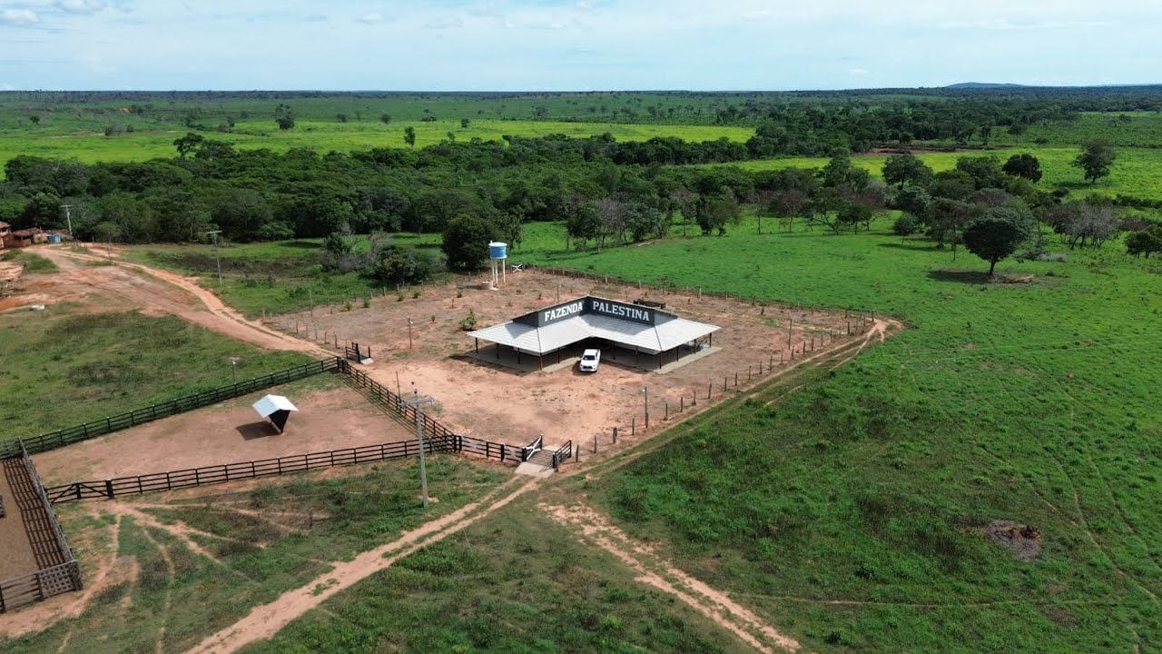 Fazenda de 575 Hectares - Corrente PI Região do Matopiba 