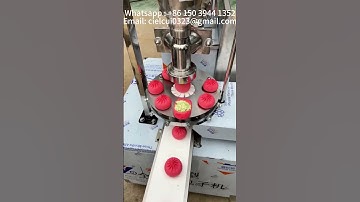 Small commercial fully automatic steamed bun machine saves manpower #baozi  #bun #xiaolongbao