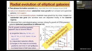 Archaeological reconstruction of the radial gradients of 'red and dead' elliptical galaxies.....