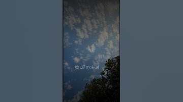 يدبر الأمر من السماء | سورة السجده الآيه 5|فضيله الشيخ ياسر الدوسري 🤍🎧