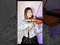 【洋楽和訳】Counting Stars / One Republic -Violincover-