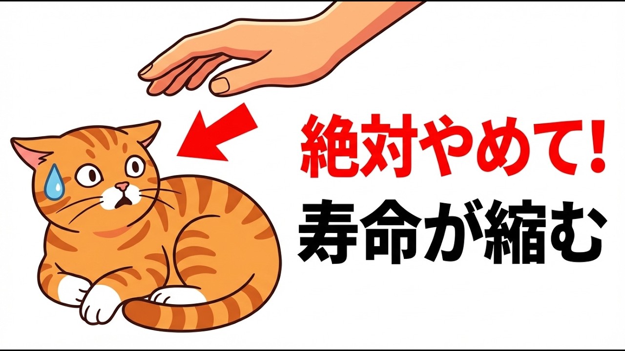 「もう触らないで..」猫が飼い主を嫌いになる瞬間。良かれと思ったその愛情表現、実は逆効果？