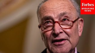 Schumer Says Women In US 'Treated Like Second-class Citizens,' Urges ERA Ratification