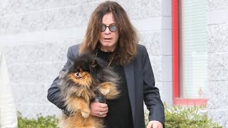 Ozzy Osbourne Not Missing, Steps Out for First Time After Split From Sharon: See the Photo