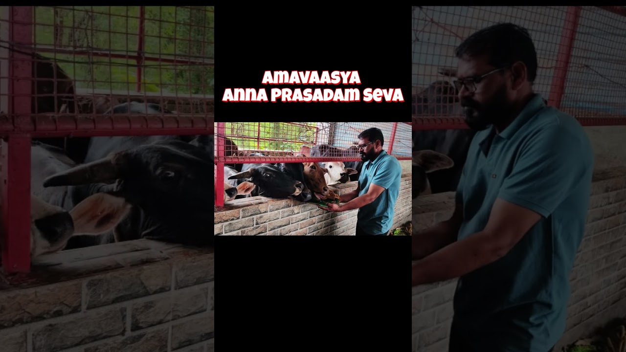 Mahalaya Amavaasya Goseva 