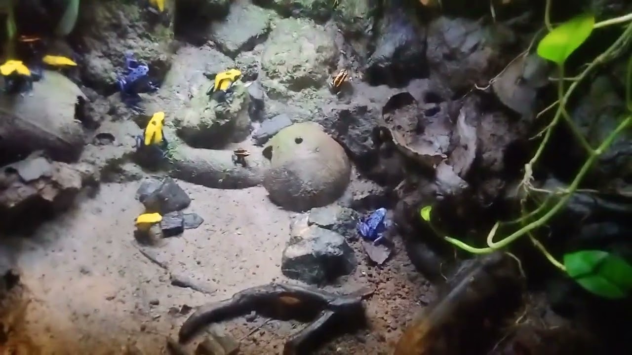 Jakarta Aquarium Jl. Letjen S. Parman No.106, RW.5, Tj. Duren Sel., Kec