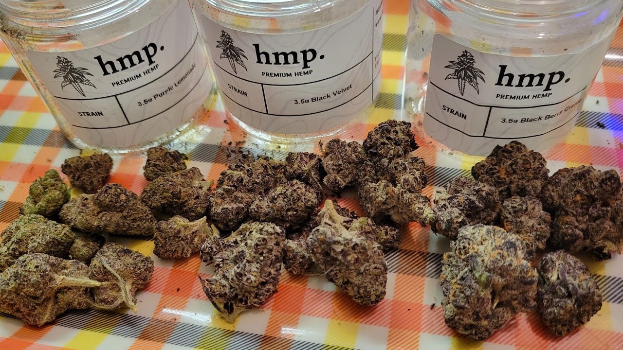 hmp Exotic THCa Flower! Purple Lemonade, Black Velvet & Black Berry Creme 💯🔥😋!!