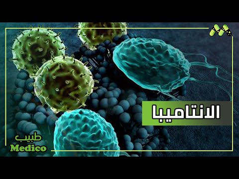 الانتاميبا هستوليتيكا وعلاقتها بالورقيات الخضراء