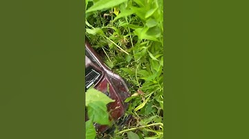 Traxxas Slash With Hoss Motor ..FULL THROTTLE Jump!! #traxxas #rcjumps #Monster4X4#4x4