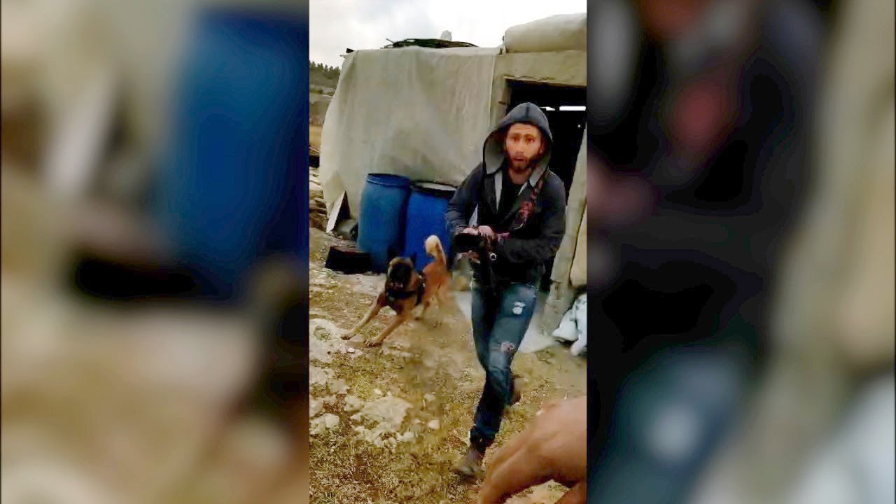 וידאדי, דרום הר חברון: מתנחלים חמושים נכנסו עם כלב לקהילה פלסטינית ותקפו אחד מתושביה