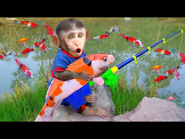 Baby monkey Bim Bim GO FISHING KOI fish to feed puppy 