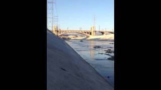 Car driving in LA River (hd) Drive Driving In The L A River Hd Clip